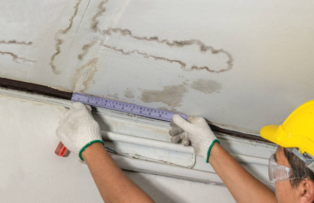 Reliable Mold Remediation contractor in Connell, WA by Local Water Damage Repair